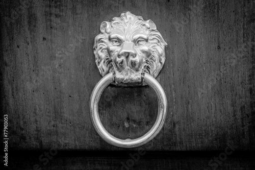 Typical ancient door knocker with lion face, b&w conversion