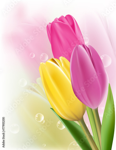 Fototapeta Naklejka Na Ścianę i Meble -  Realistic Colorful Tulips in Isolated Background