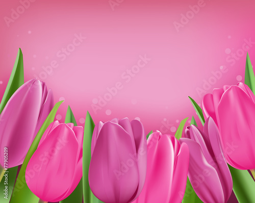 Fototapeta Naklejka Na Ścianę i Meble -  Realistic Colorful Tulips in Isolated Background
