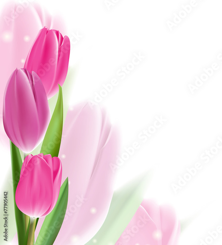 Fototapeta Naklejka Na Ścianę i Meble -  Realistic Colorful Tulips in Isolated Background