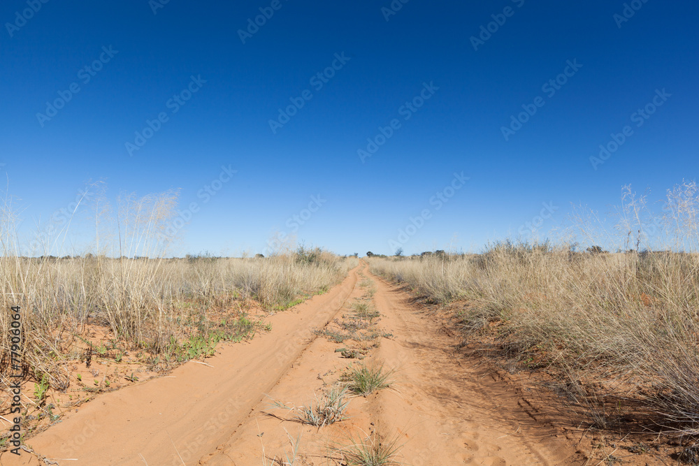 Kalahari trail
