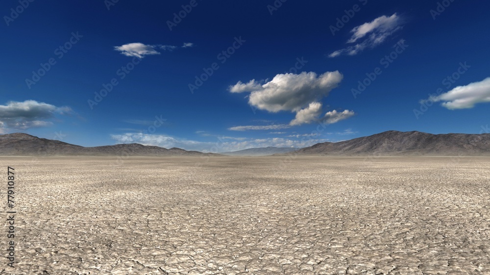 Fototapeta premium 砂漠