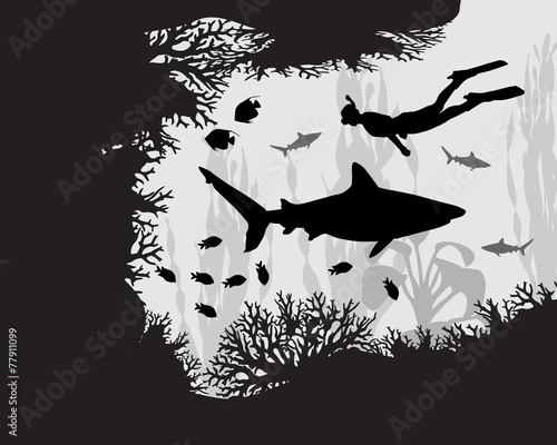 Diver in coral reef