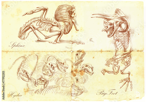 An hand drawn vector: Sphinx, Bigfoot, Hydra