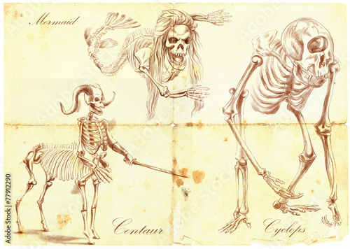 An hand drawn vector: Mermaid, Cyclops, Centaur