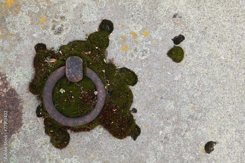 Old tombstone ring at the abandoned cemetery. photo