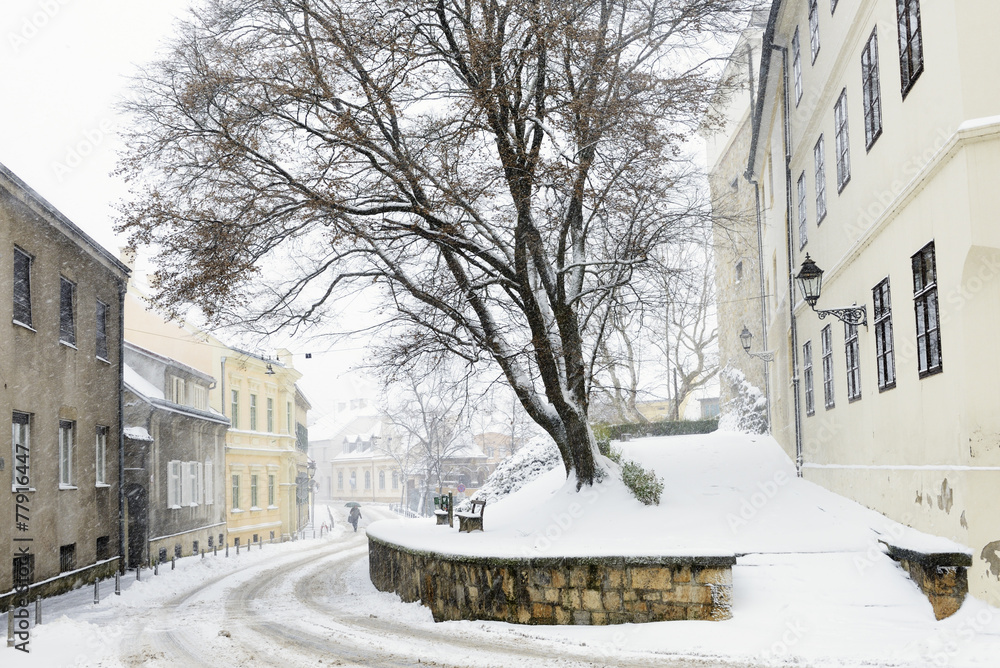 Ilirski trg during a snowstorm, Zagreb, Croatia.