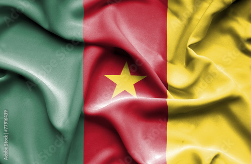 Cameroon waving flag