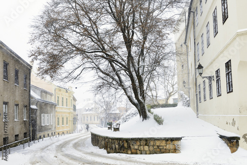 Ilirski trg during a snowstorm, Zagreb, Croatia. © astrobobo