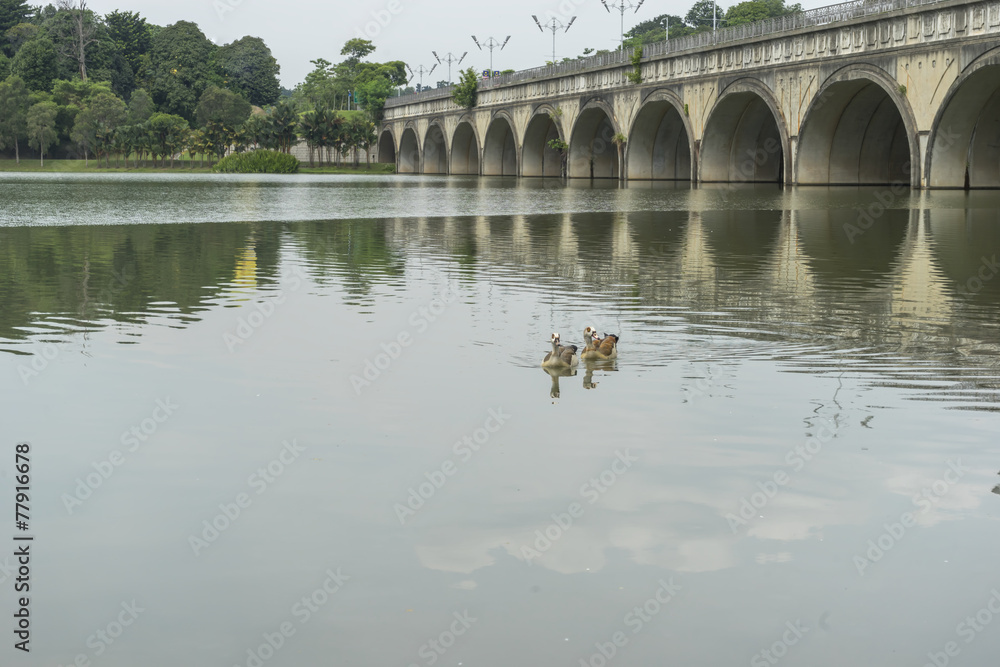Fototapeta premium Lake with concrete bridge