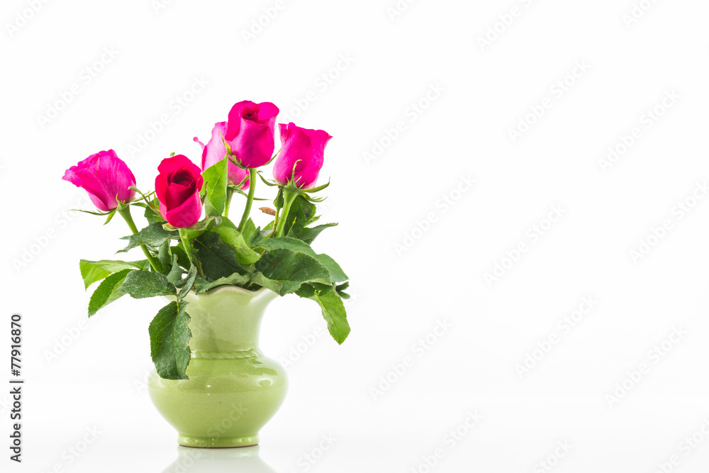 Obraz premium Pink rose in vase.