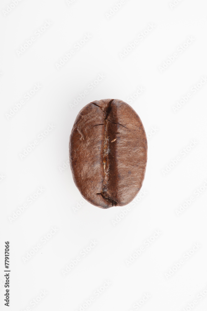 Naklejka premium One roasted coffee bean at the center