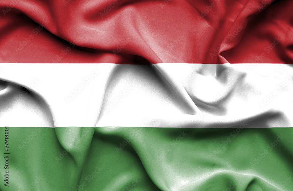 Hungary waving flag