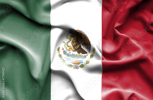 Mexico waving flag
