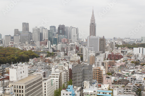 東京　新宿　高層ビル　曇り　tokyo shinjyuku photo