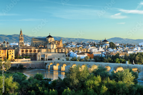 morning view of Cordoba, Spain