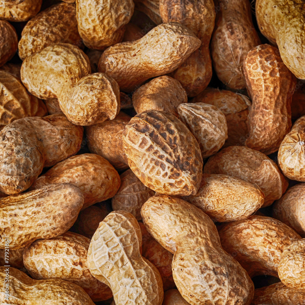 peanuts in shell peanuts in shell