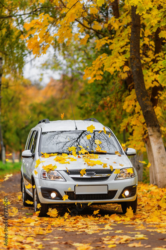 Car in autumn forest