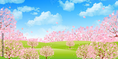 桜 空 背景