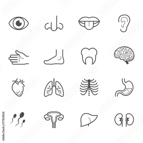 Human Anatomy Icons