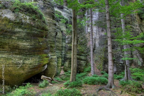 Park of Adrspach-Teplice rocks. Rock Town. Czech Republic