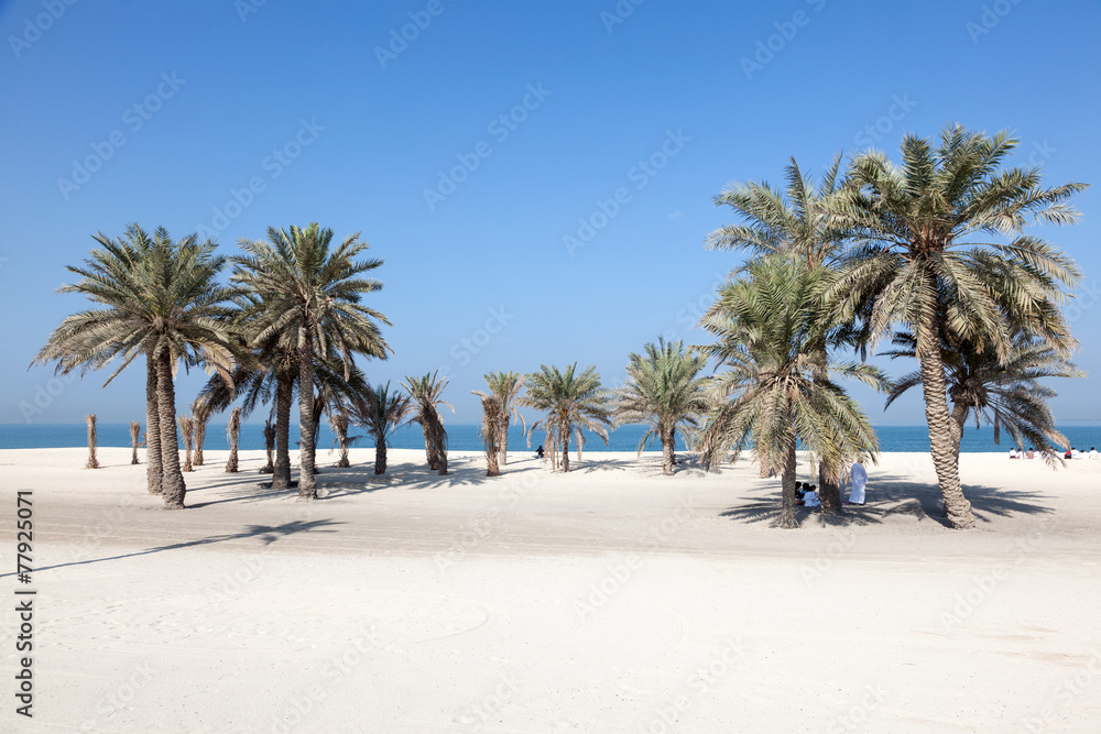 Fototapeta premium Beach with palm trees in Umm Al Quwain, UAE