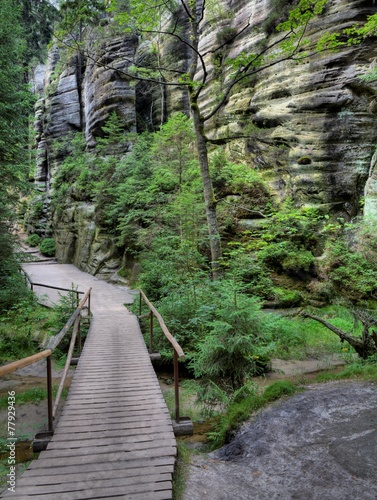 Park of Adrspach-Teplice rocks. Rock Town. Czech Republic