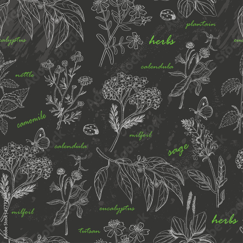 Vector seamless pattern with herbs on a dark background