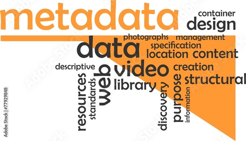 word cloud - metadata