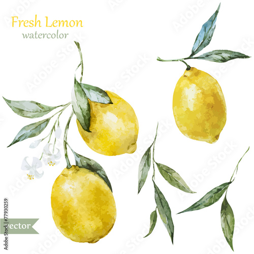Lemon pattern