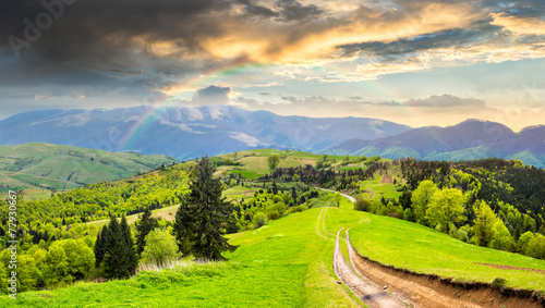 road through the meadow on hillside