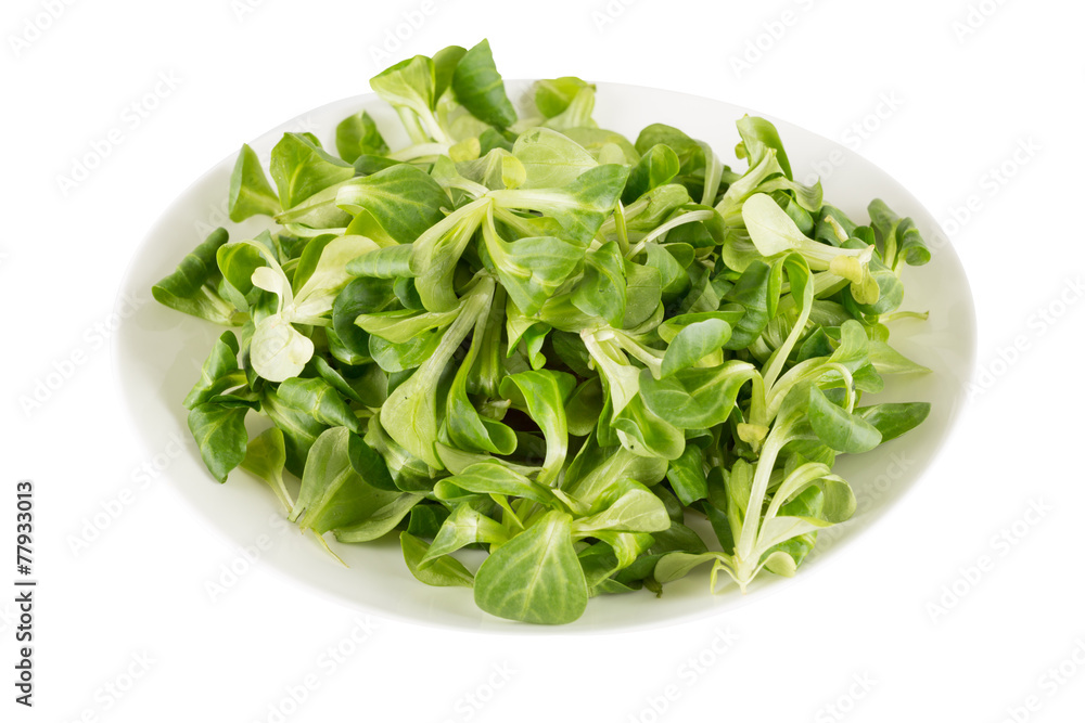 watercress salad watercress salad