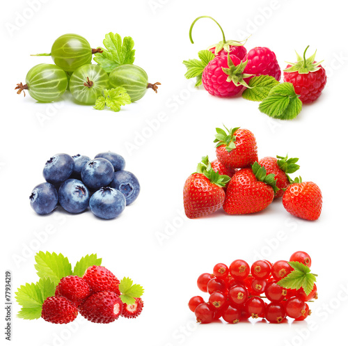 Różny typ jagodowe owoc odizolowywać