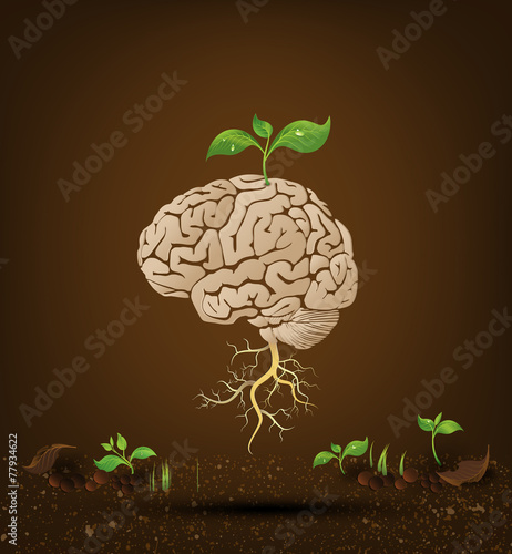 Brain tree illustration.