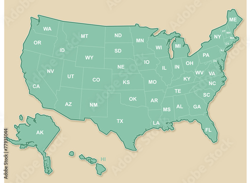 Quadro em tela USA Map