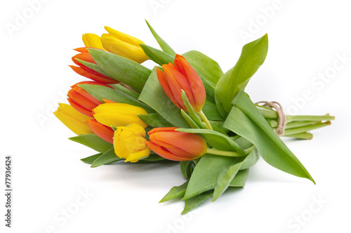 bouquet de tulipes photo