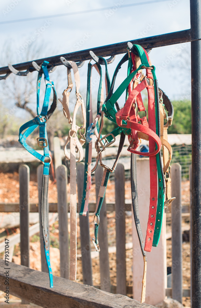 Horse bridles and other equipment in the stable.