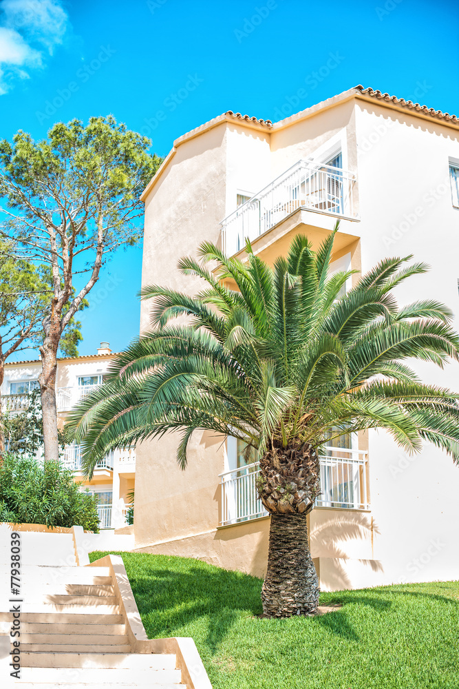 Fototapeta premium Portrait of tropical apartment building with trees.