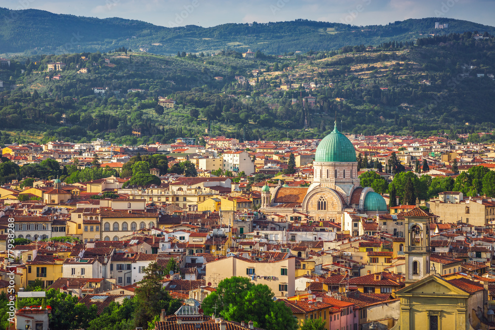 Naklejka premium Panorama of Florence, Italy