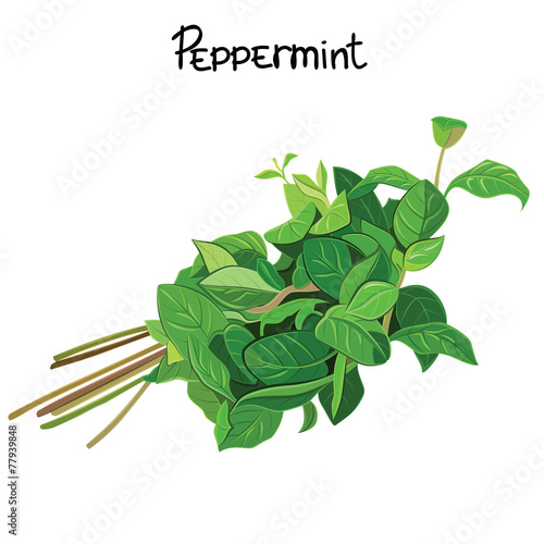 Peppermint