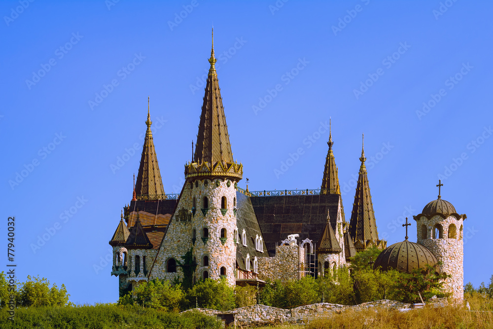 Fototapeta premium Castle