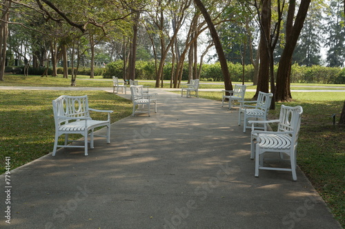 park garden bench walkway concept © Sasipixel