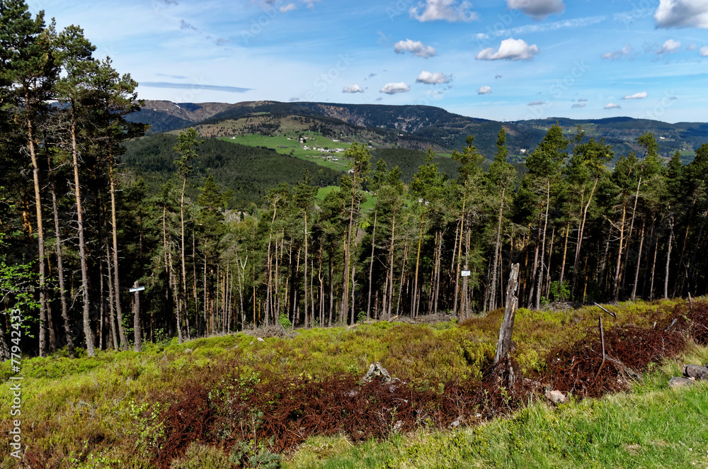 Obraz premium Paysage de montagne