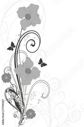 papillons gris