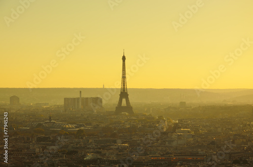 View of Paris from above in the twilight © oksmit