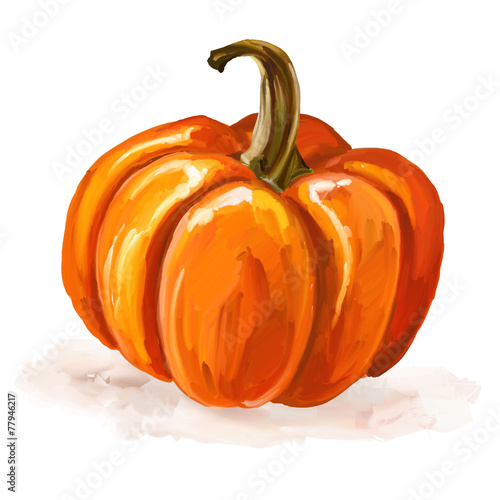 Pumpkin vector illustration  hand drawn  painted watercolor