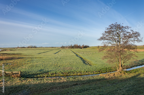 Fototapeta Naklejka Na Ścianę i Meble -  Dutch landscape