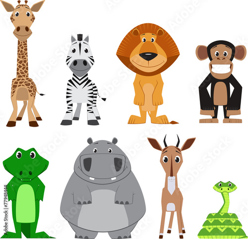 Cute colorful exotic animals collection