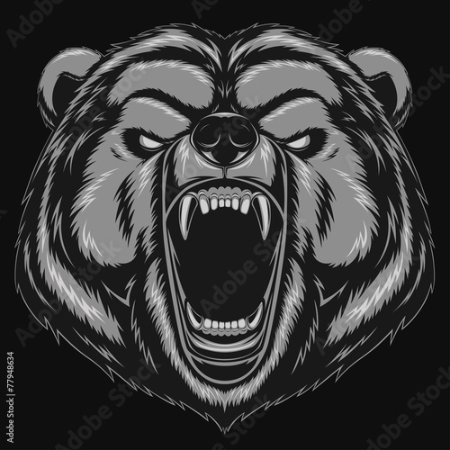 Angry bear head mascot