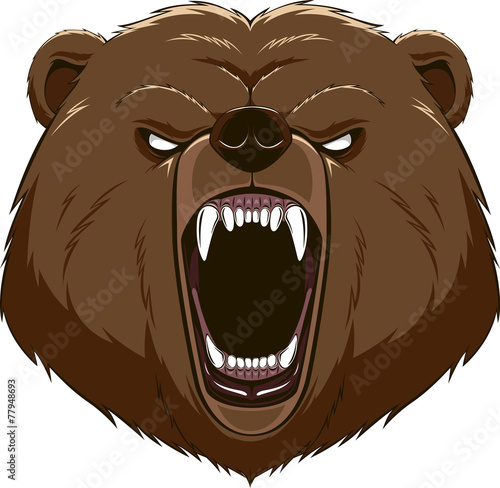 Angry bear head mascot